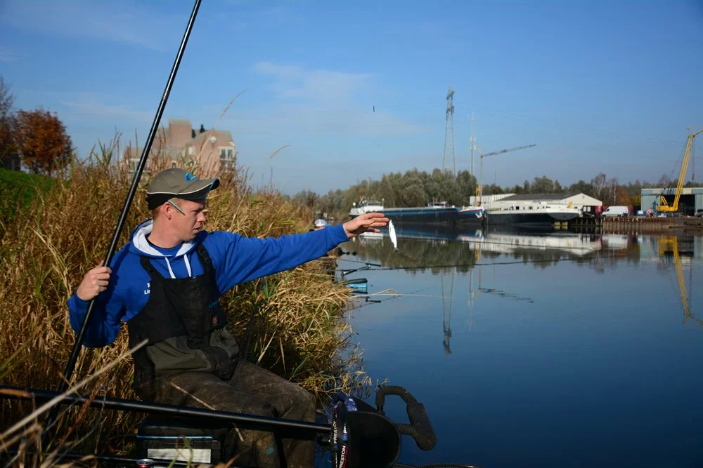 Penhengels En Stalkerhengel Winkel -Penhengels En Stalkerhengel Winkel 11 1