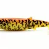 DefaultBrand Savage Gear LB Cannibal Shad 15cm | Burbot Golden Ambulance -Penhengels En Stalkerhengel Winkel cannibalburbotamblu 1