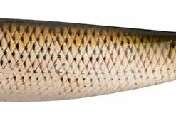 DefaultBrand Fox Rage Pro Shad 23cm Chub