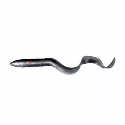 DefaultBrand Savage Gear LB Real Eel 30cm - Black Silver