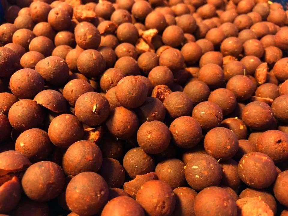 DefaultBrand BULKDEAL 10KG | Nash Instant Action Hot Tuna Boilies 18mm 3 DefaultBrand BULKDEAL 10KG | Nash Instant Action Hot Tuna Boilies 18mm