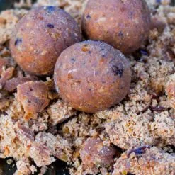 BFP Baits Sensation X