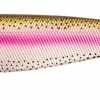 DefaultBrand Fox Rage Pro Shad Firetail 23cm - Rainbow Trout -Penhengels En Stalkerhengel Winkel nsl924 1