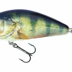 DefaultBrand Salmo Fatso Floating 10cm | Real Perch
