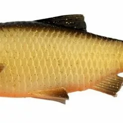 DefaultBrand Savage Gear LB Roach Paddle Tail 12.5cm - Dirty Roach