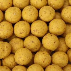 DefaultBrand SVO Boilie Range 15mm 5kg Scopex And Butyric