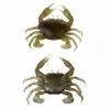 DefaultBrand Savage Gear 3D Manic Crab 2.5cm Tan Crab (5pcs) 1 DefaultBrand Savage Gear 3D Manic Crab 2.5cm Tan Crab (5pcs) -Penhengels En Stalkerhengel Winkel tancrab 1
