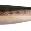 DefaultBrand Fox Rage Pro Shad 23cm Zander -Penhengels En Stalkerhengel Winkel zander 1