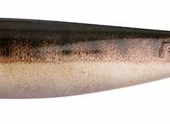 DefaultBrand Fox Rage Pro Shad 23cm Zander